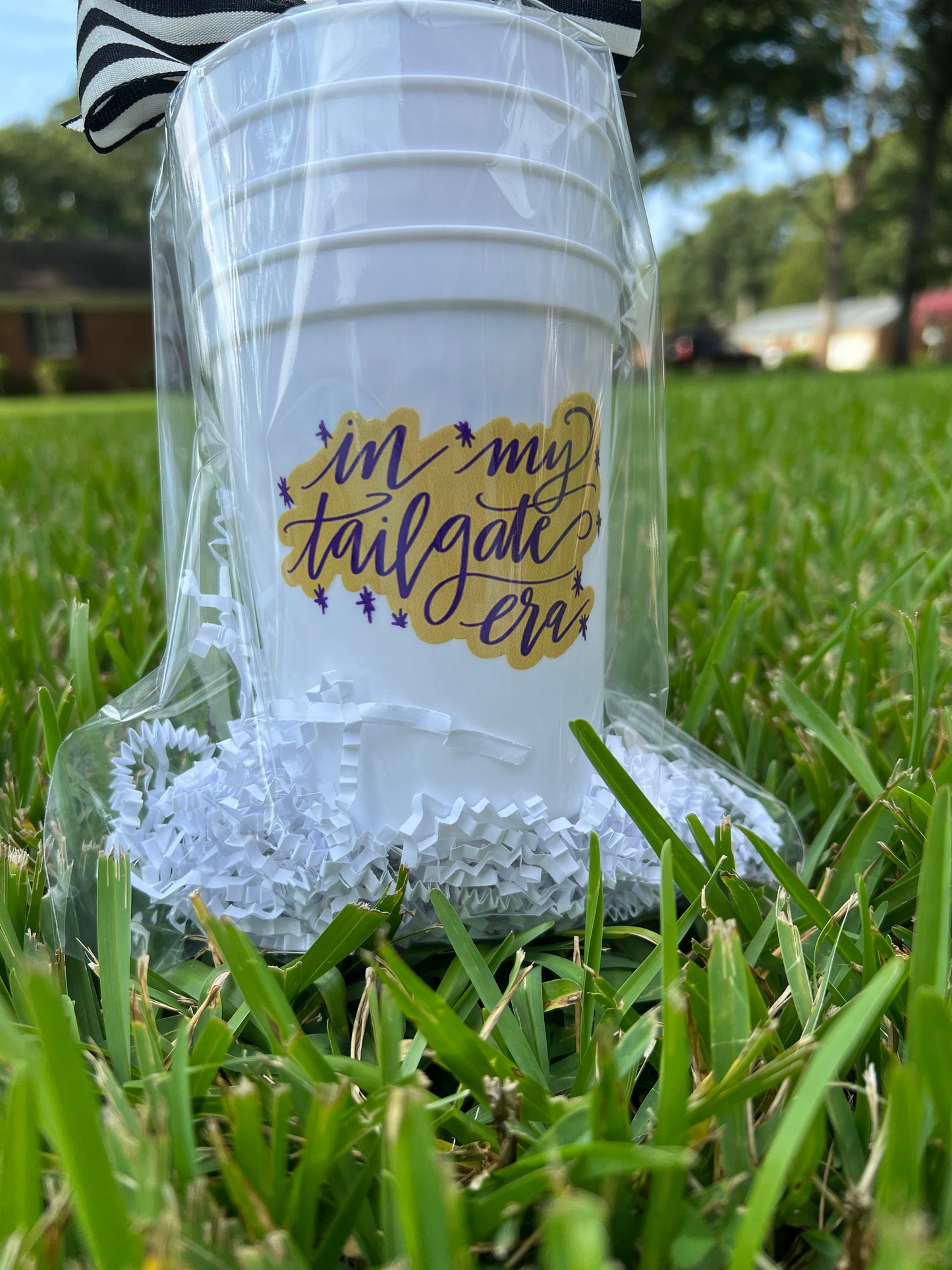 “In my tailgate era” tailgate cups, gold and purple, Harrisonburg, JMU