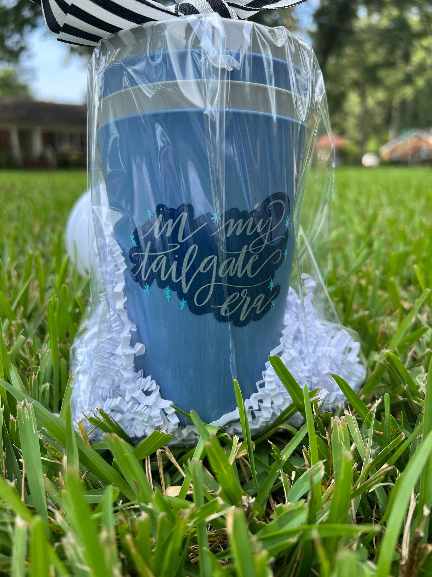 In my tailgate era tailgate cups, Grey and Blue, Norfolk, ODU