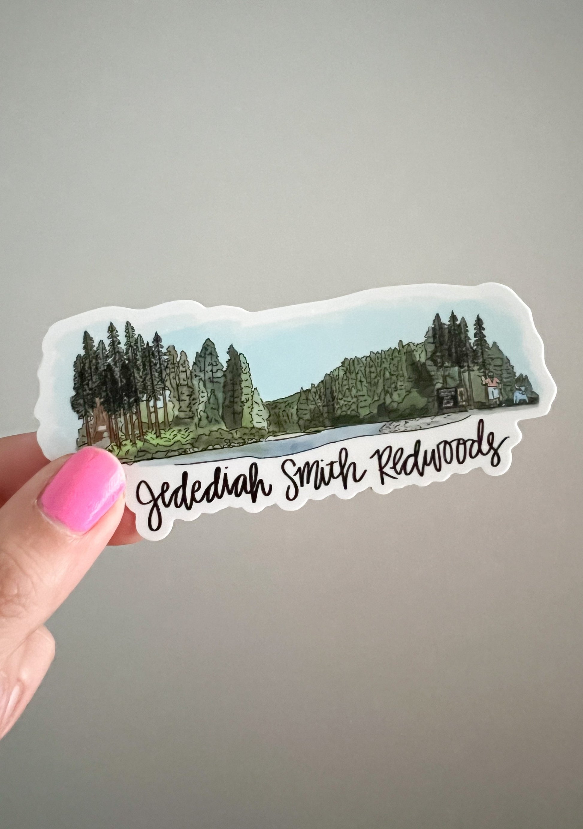Jedediah Smith Redwoods, (CA) Skyline sticker - Water bottle sticker - laptop sticker