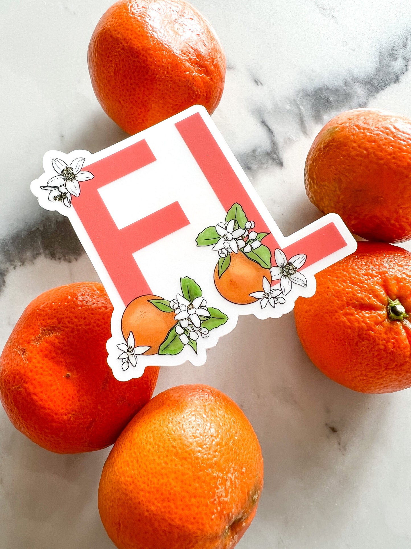 FL - State Flower Sticker - Florida - Orange Blossom - Florida Sticker