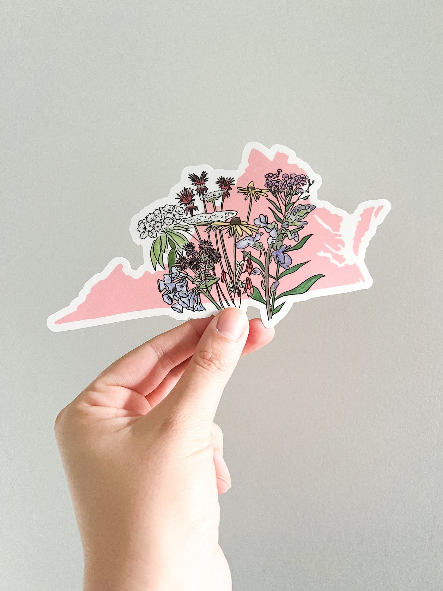 Virginia (VA) wildflower sticker Large - bumper sticker- car sticker -pink
