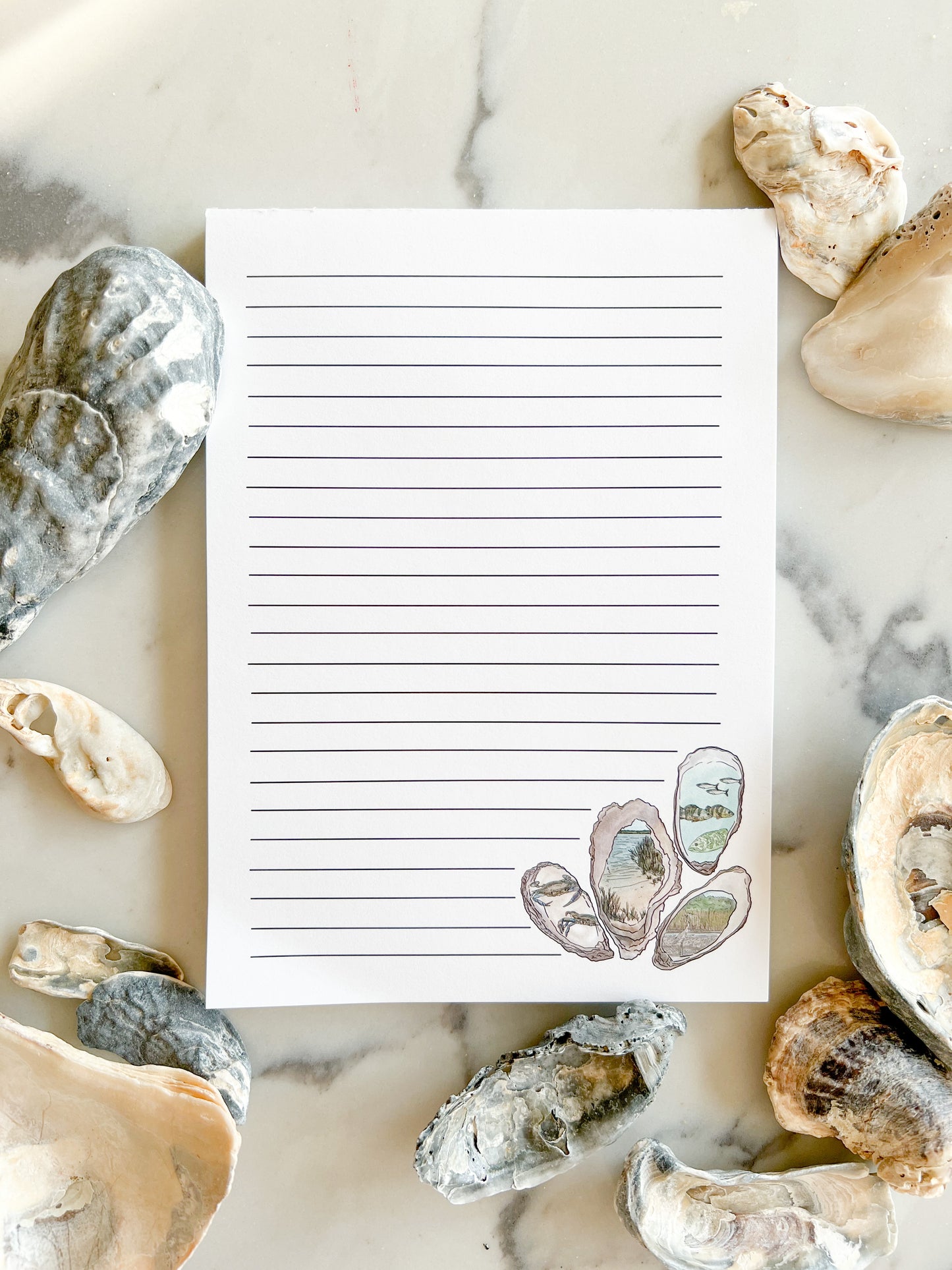 Chesapeake Bay Oysters 5x7 lined notepad